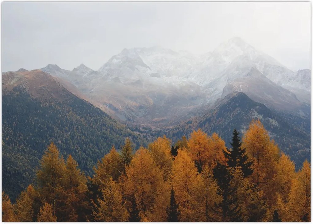 Tablou - Crestele munților (70x50 cm)