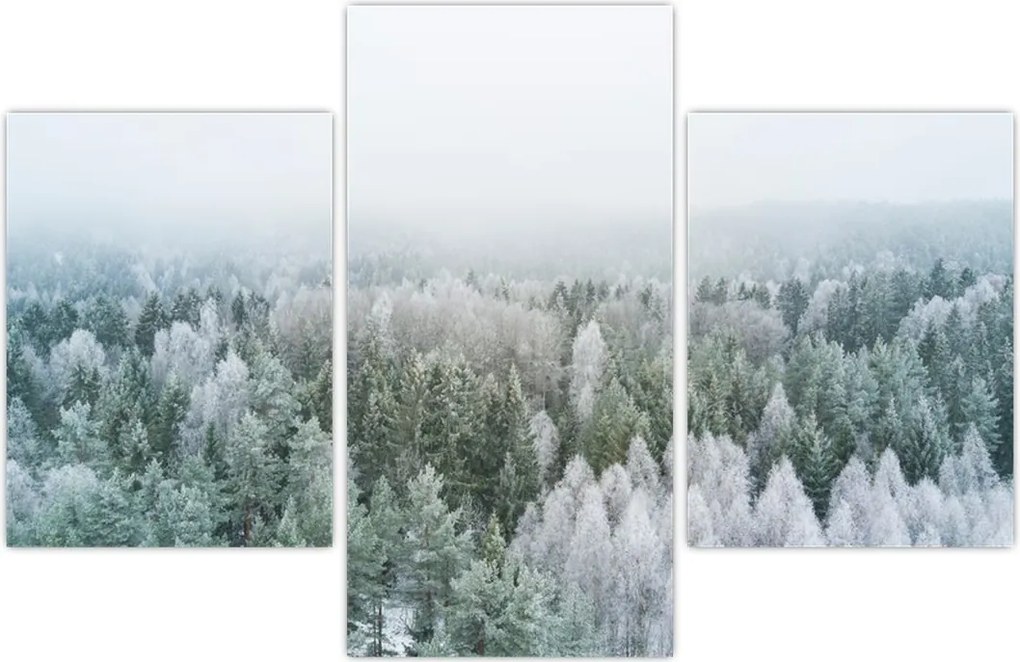 Tablou - Crestele munțillor înzăpezite (90x60 cm)