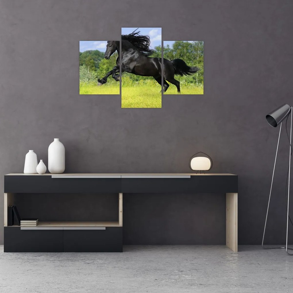 Tablou - Cal cu o coamă curgătoare (90x60 cm)