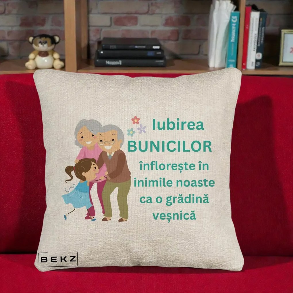 Cadou pentru Bunici - Perna Personalizata Bunicii Iubirea Infloreste cu Nepoata Teal, 40x40 cm, Bej Canapea, Husa Detasabila, Perna Inclusa, BEKZ®