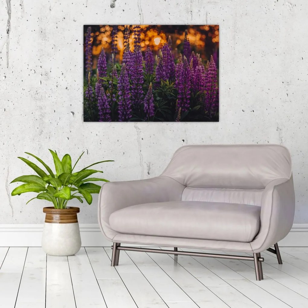 Tablou pe sticlă - Flori de lupin (70x50 cm)