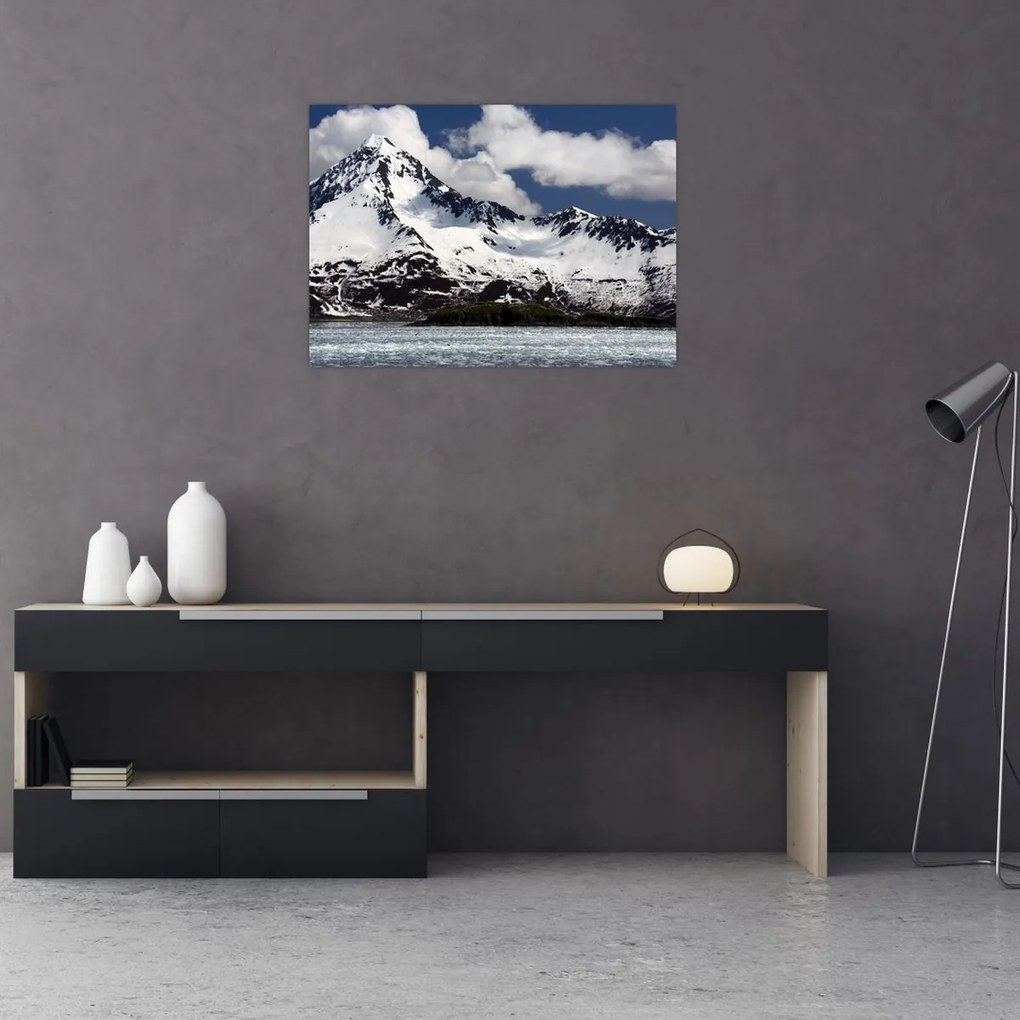 Tablou - Parcul Național Kenai Fjords (70x50 cm)