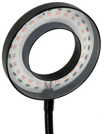 Lampă LED flexibilă dimabilă de masă cu clemă pentru creșterea plantelor VITARO 2xLED/4W/230V negru
