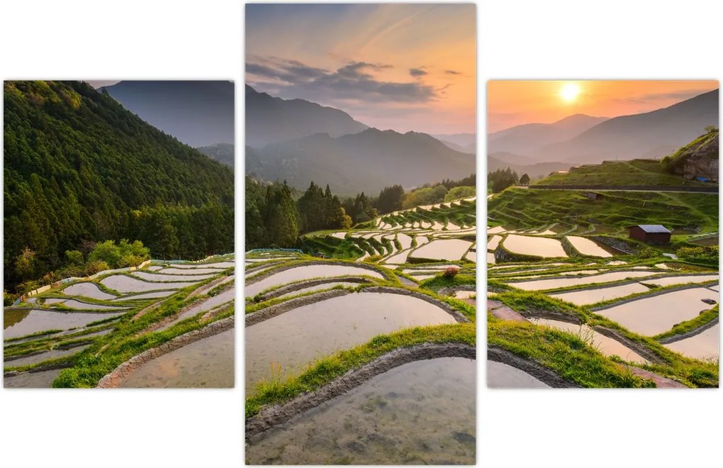 Tablou - Terase de orez (90x60 cm)