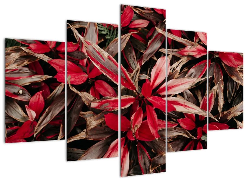 Tablou - Petale roșii (150x105 cm)