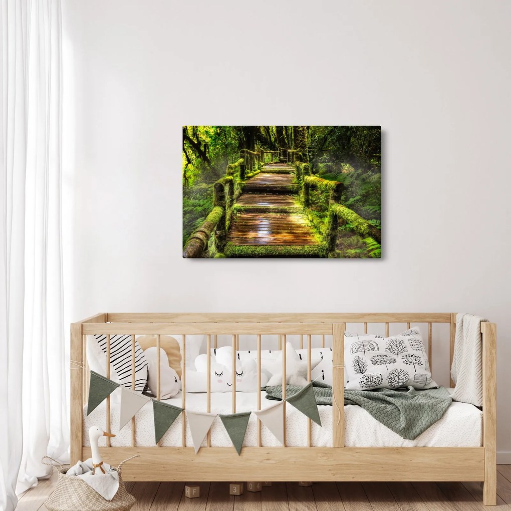 Tablou cu scări într-o pădure tropicală (90x60 cm)