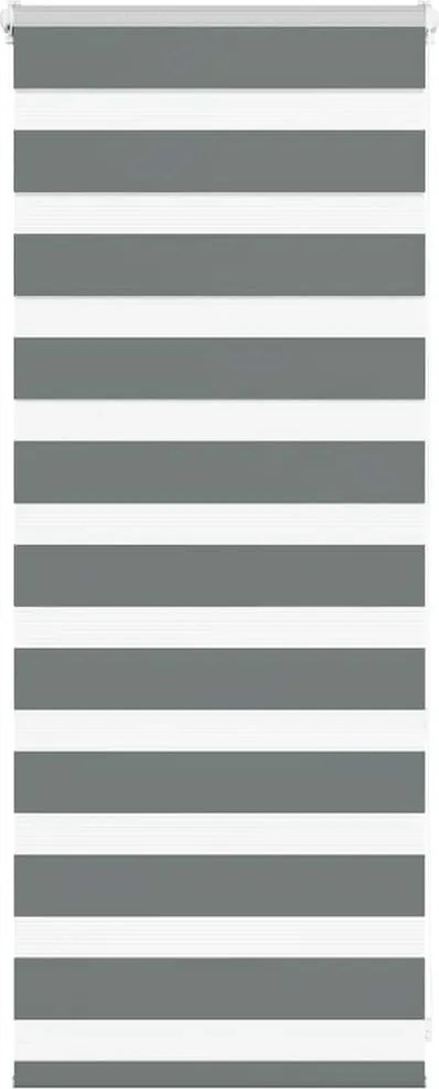 vidaXL Jaluzea tip zebra gri închis lățime țesătură 50,9 cm poliester