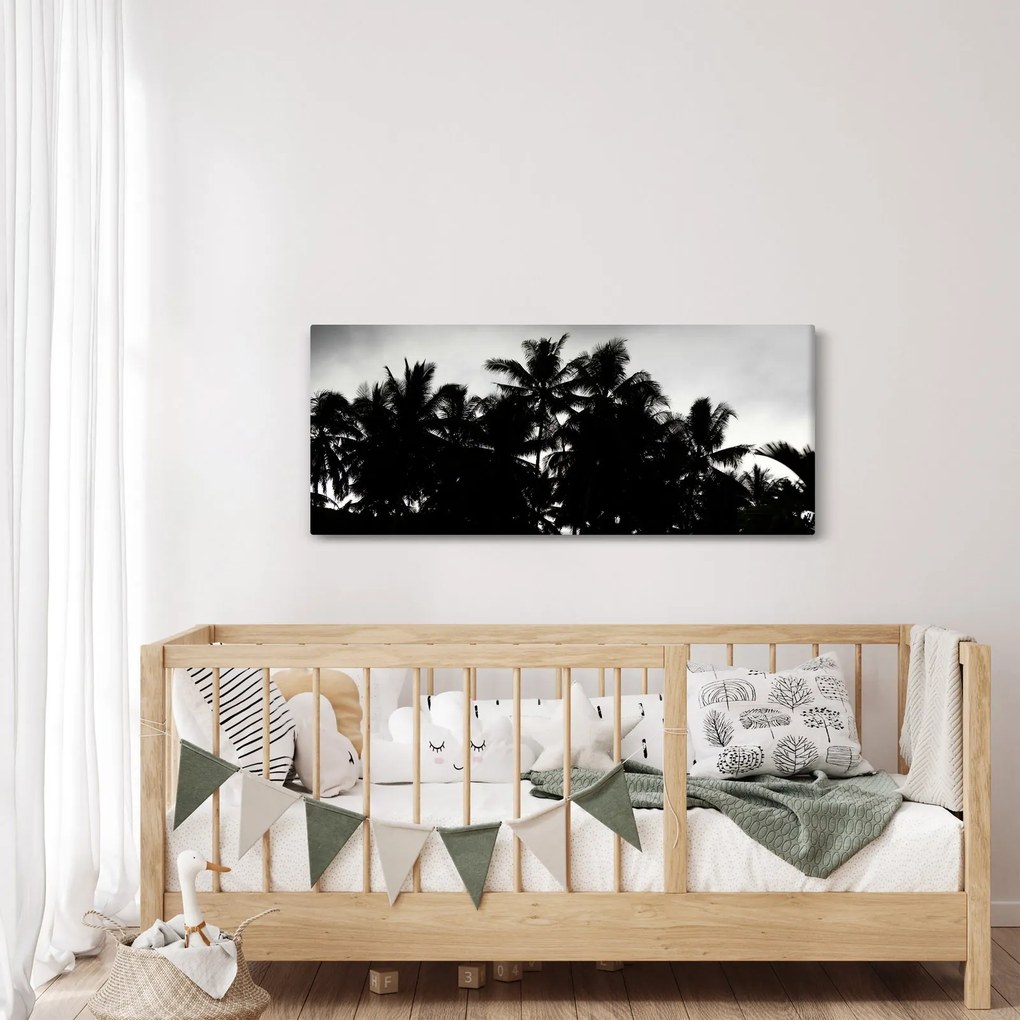 Tablou alb negru - palmieri (120x50 cm)