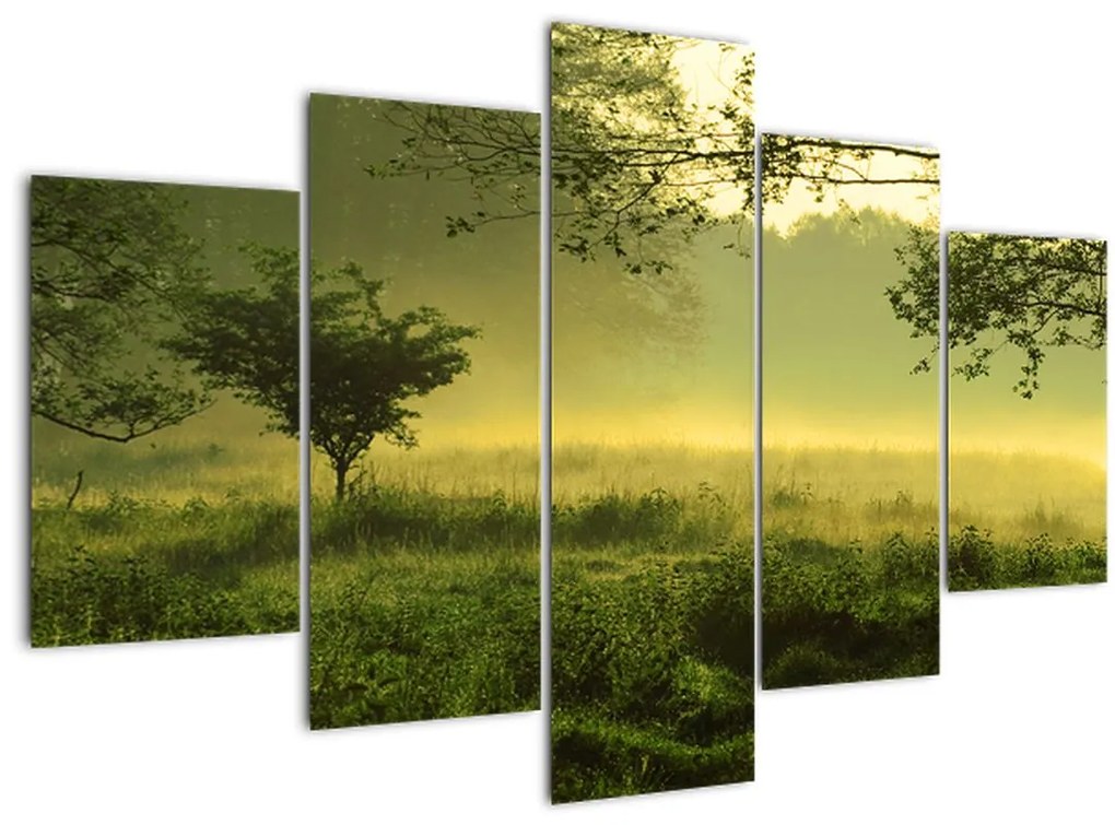 Tablou - Pădurea trezită (150x105 cm)