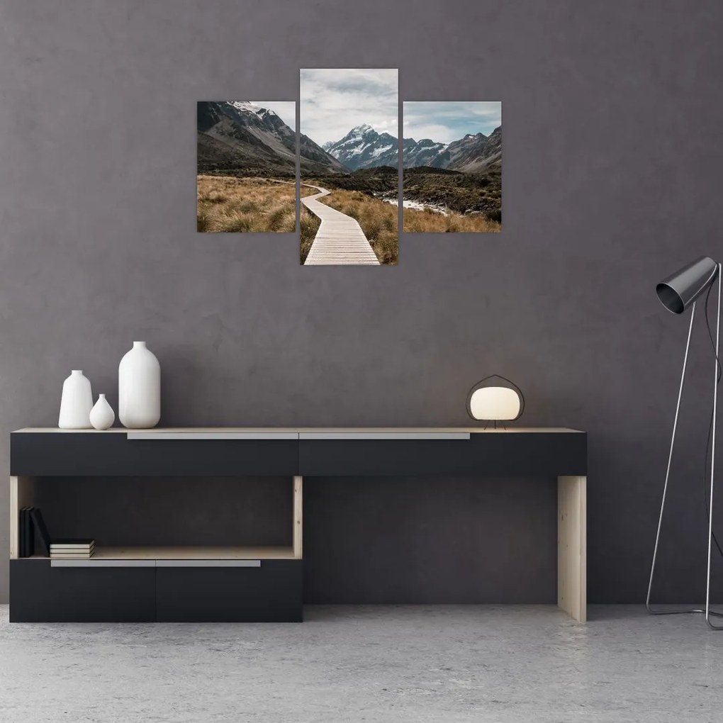Tablou - Poteca în valea muntelui Mt. Cook (90x60 cm)
