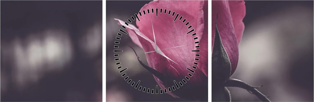 Tablou - Detaliu florii de trandafir (cu ceas) (90x30 cm)