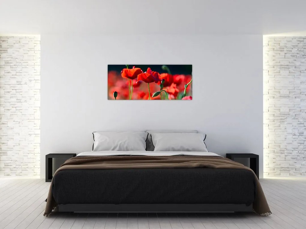 Tablou - flori de maci (120x50 cm)