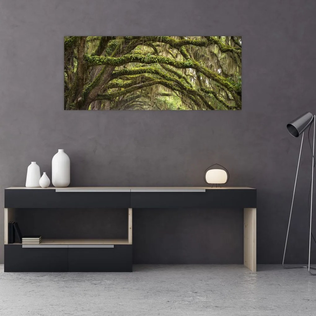 Tablou - Oaks Avenue, Charleston, Carolina de Sud, SUA (120x50 cm)