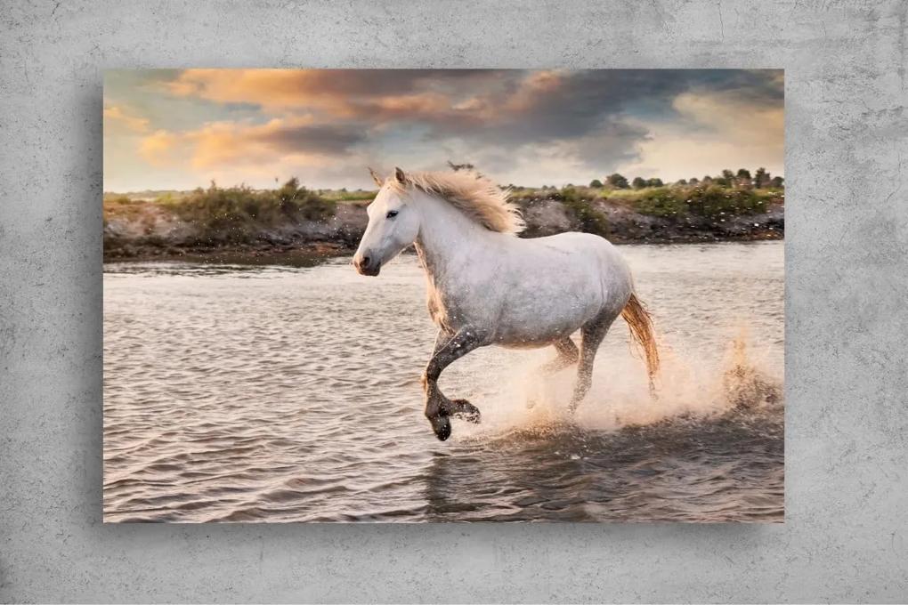Tapet Premium Canvas - Calul alb in alergare