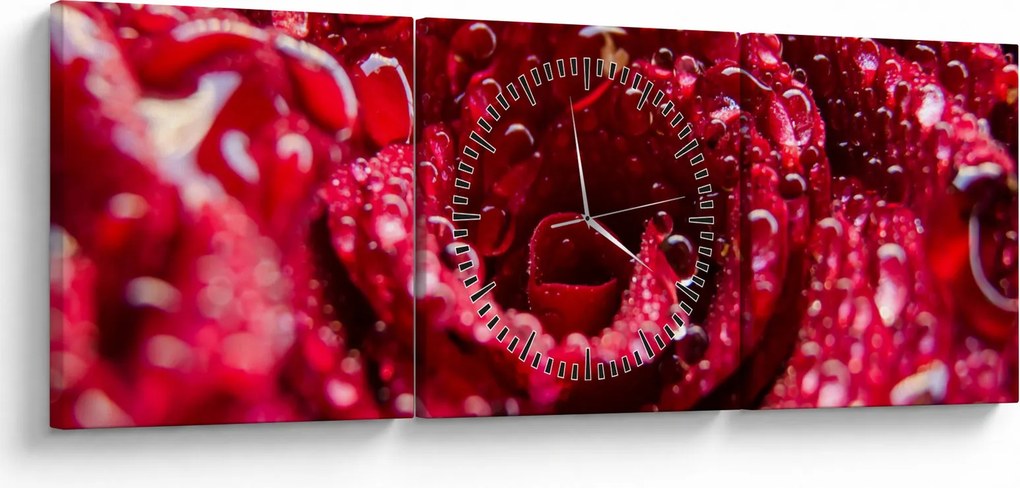 Tablou cu floarea trandafirului roșu (cu ceas) (90x30 cm)
