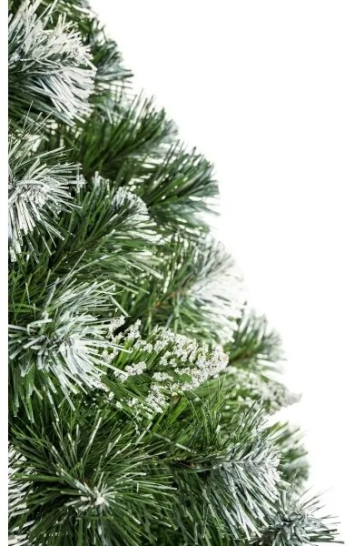 Brad de Crăciun pe trunchi, 220 cm, pin