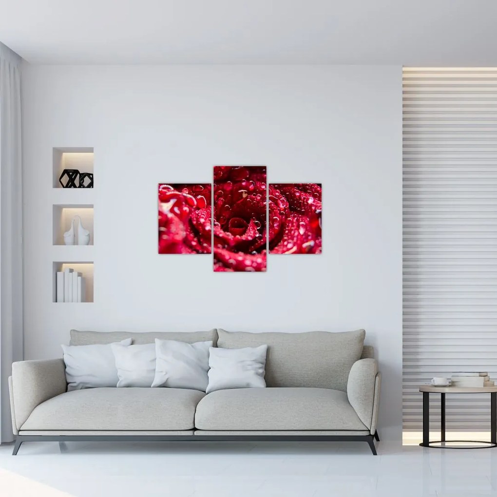 Tablou cu floarea trandafirului roșu (90x60 cm)