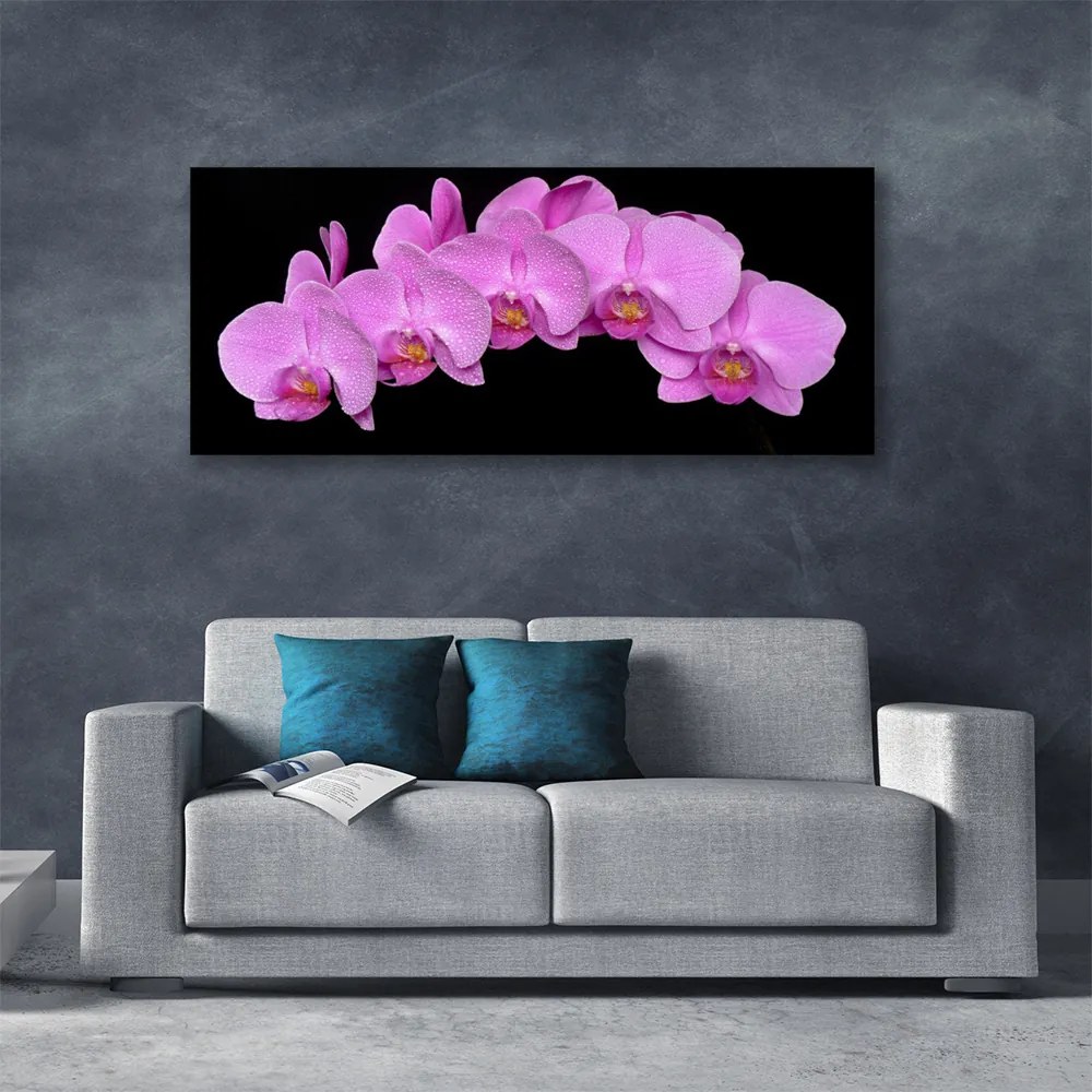 Tablou pe panza canvas Flori Floral roz negru