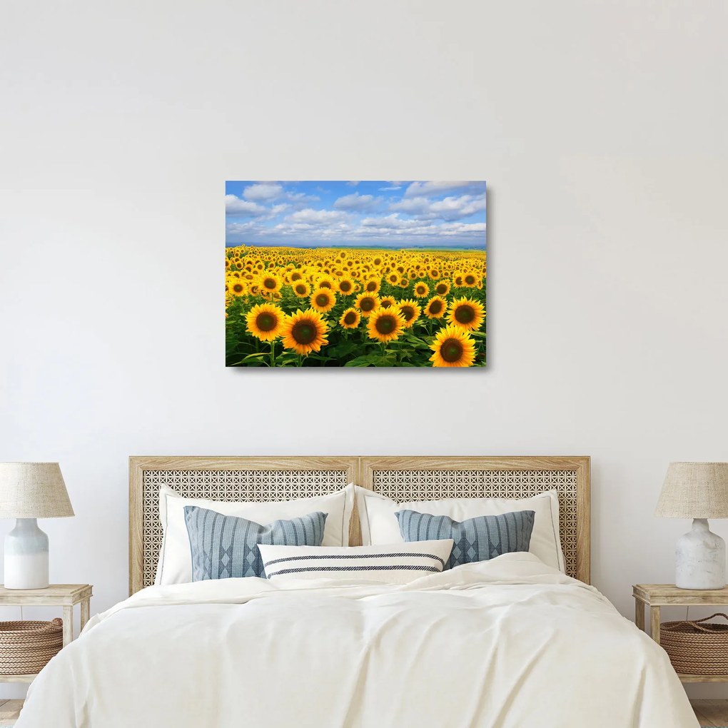 Tablou pe sticlă cu lan de floarea soarelui (70x50 cm)
