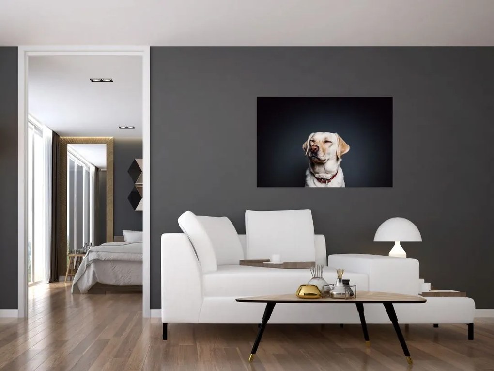 Tablou cu labrador (90x60 cm)