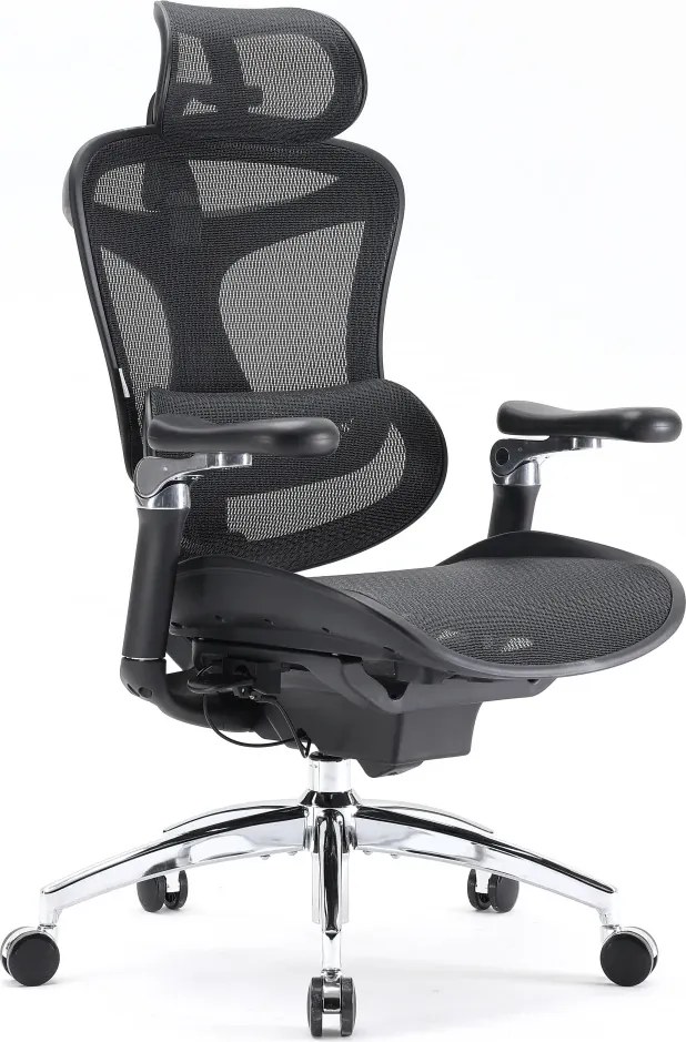 Scaun Ergonomic SIHOO Doro C300 Pro M101, Suport Lombar Adaptiv Inteligent, Spătar Reglabil pe Înălțime, Tetieră 3D, Cotiere 6D PU, Șezut Glisant, Reclinare 135°, Mesh, Negru
