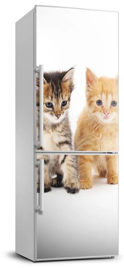 Autocolant pe frigider Gri și roșu pisică