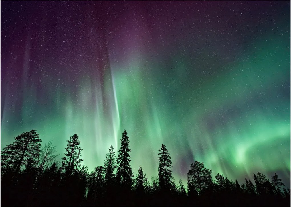 Tablou cu Northern Lights (70x50 cm)