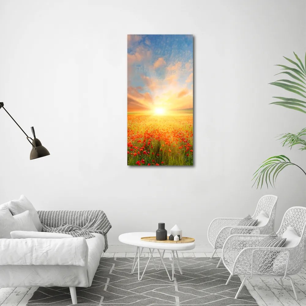 Print pe canvas Câmp de maci