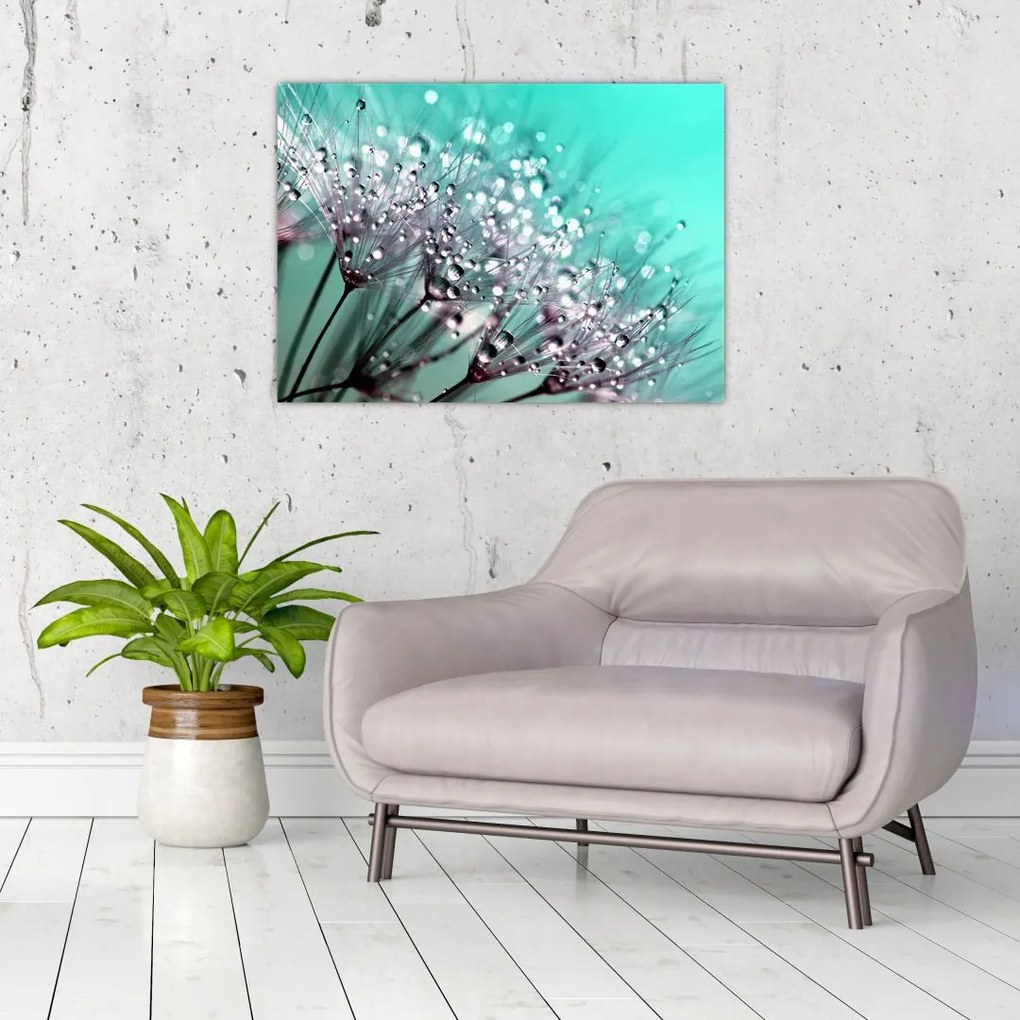 Tablou - planta cu rouă (70x50 cm)