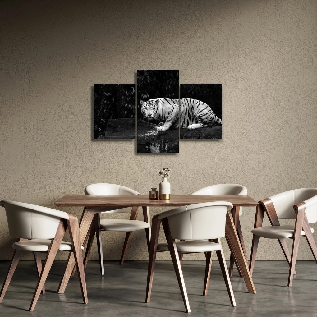 Tablou - Tigru alb, alb-negru (90x60 cm)