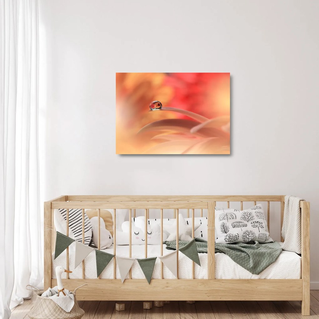 Tablou pe sticlă picăturii de rouă pe floare (70x50 cm)