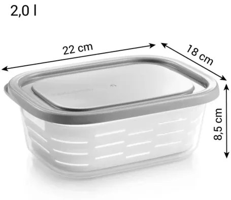 Recipient pentru congelator cu coș Tescoma 4FOOD  2,0 l, 2 l