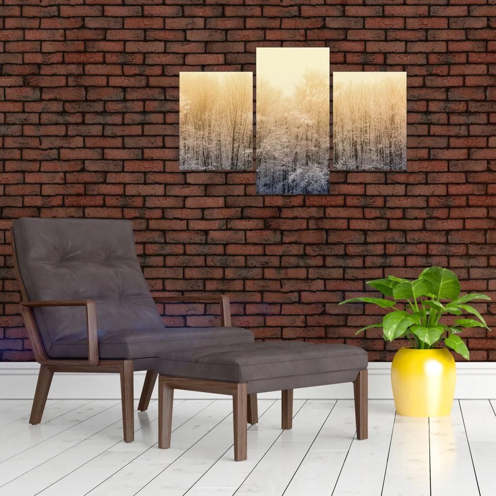 Tablou cu pădure geroasă (90x60 cm)