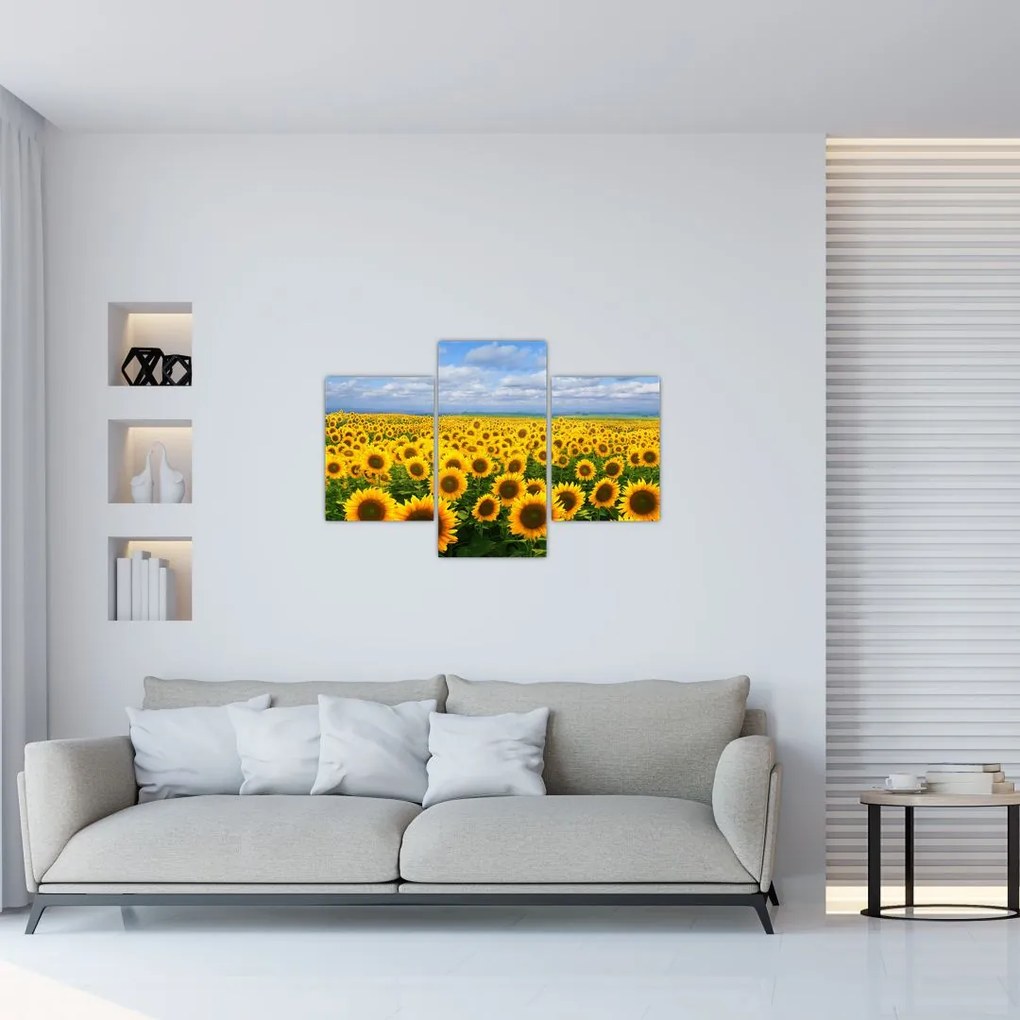 Tablou cu lan de floarea soarelui (90x60 cm)