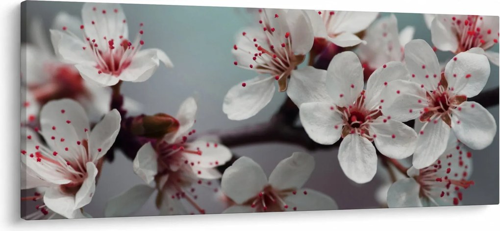 Tablou cu floare - roșie (120x50 cm)