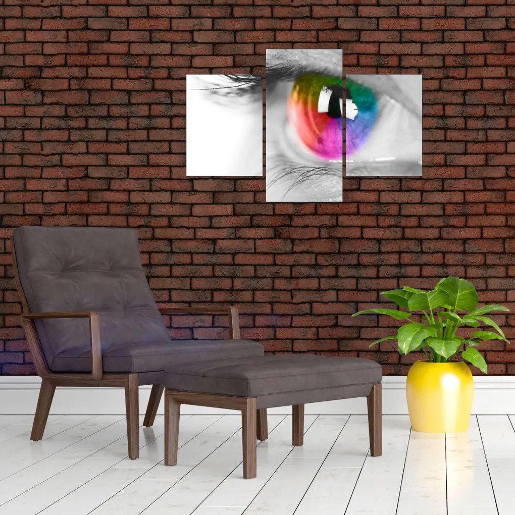 Tablou - Iris din ochi (90x60 cm)