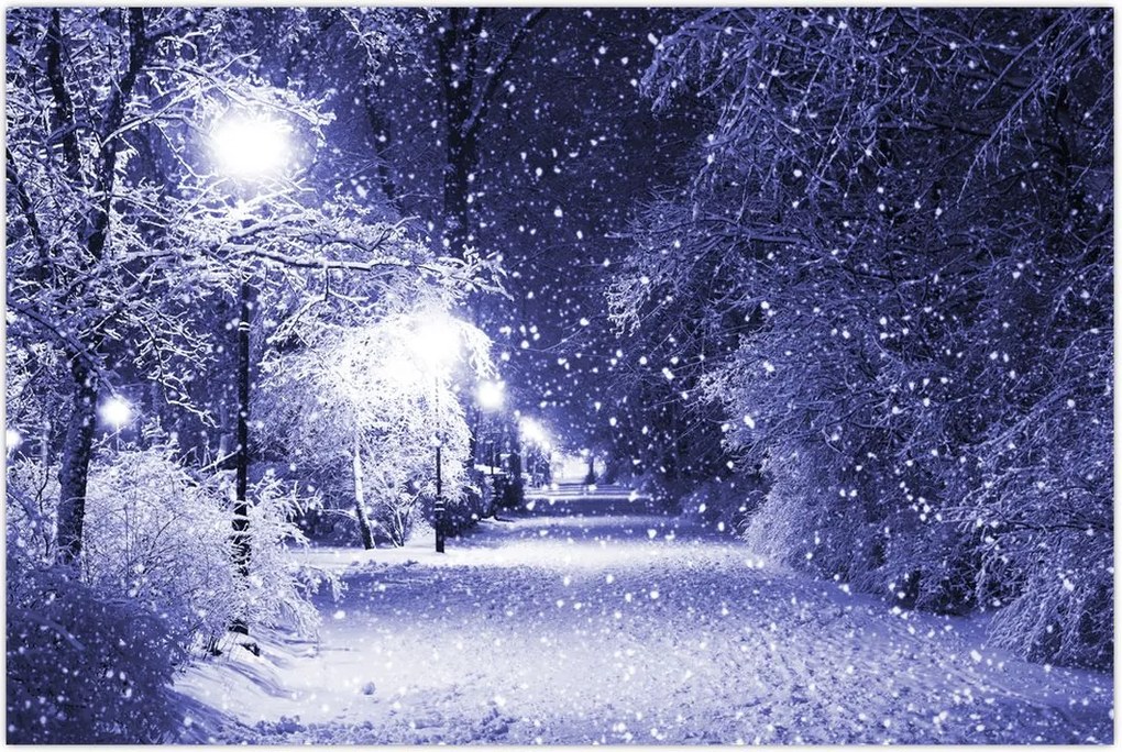 Tablou - Noaptea magică de iarnă (90x60 cm)