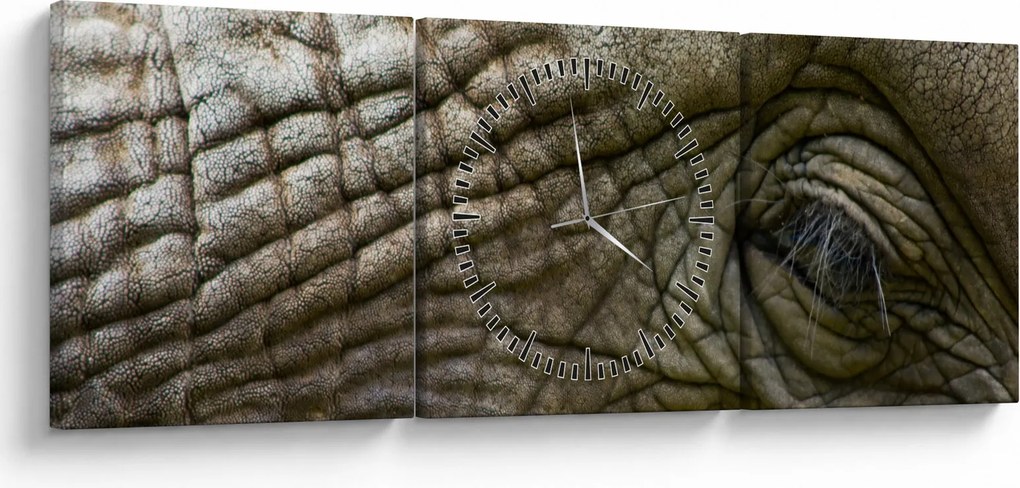Tablou - Prim-planul ochiului de elefant vechi (cu ceas) (90x30 cm)