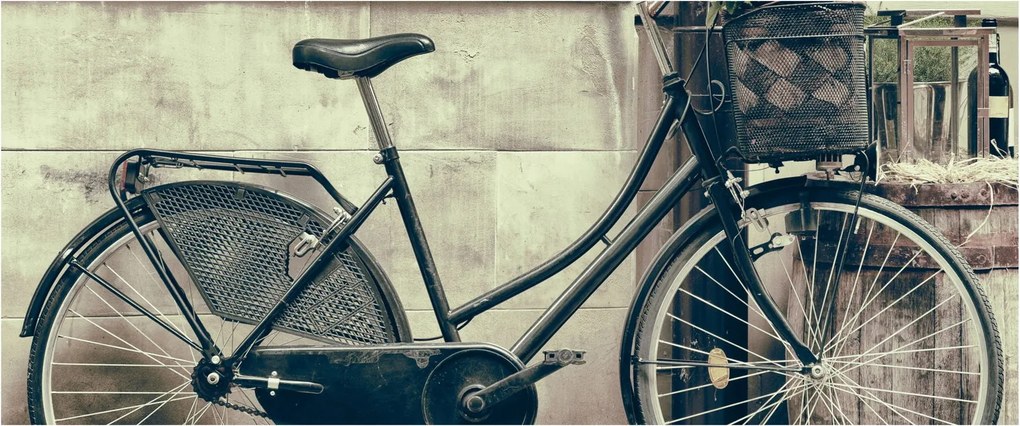 Tablou - Bicicleta de epocă cu flori (120x50 cm)