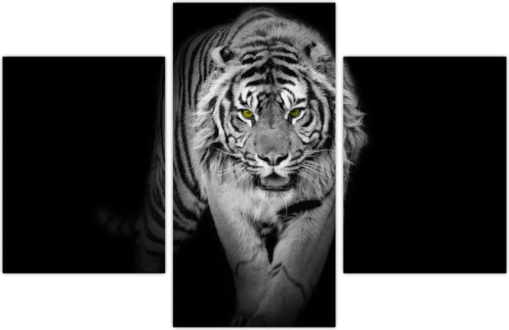 Tablou - Tigru cu ochi galbeni (90x60 cm)