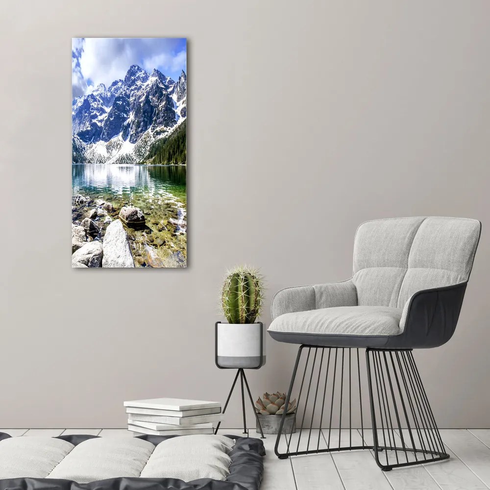 Tablou canvas Marine ochi Tatry