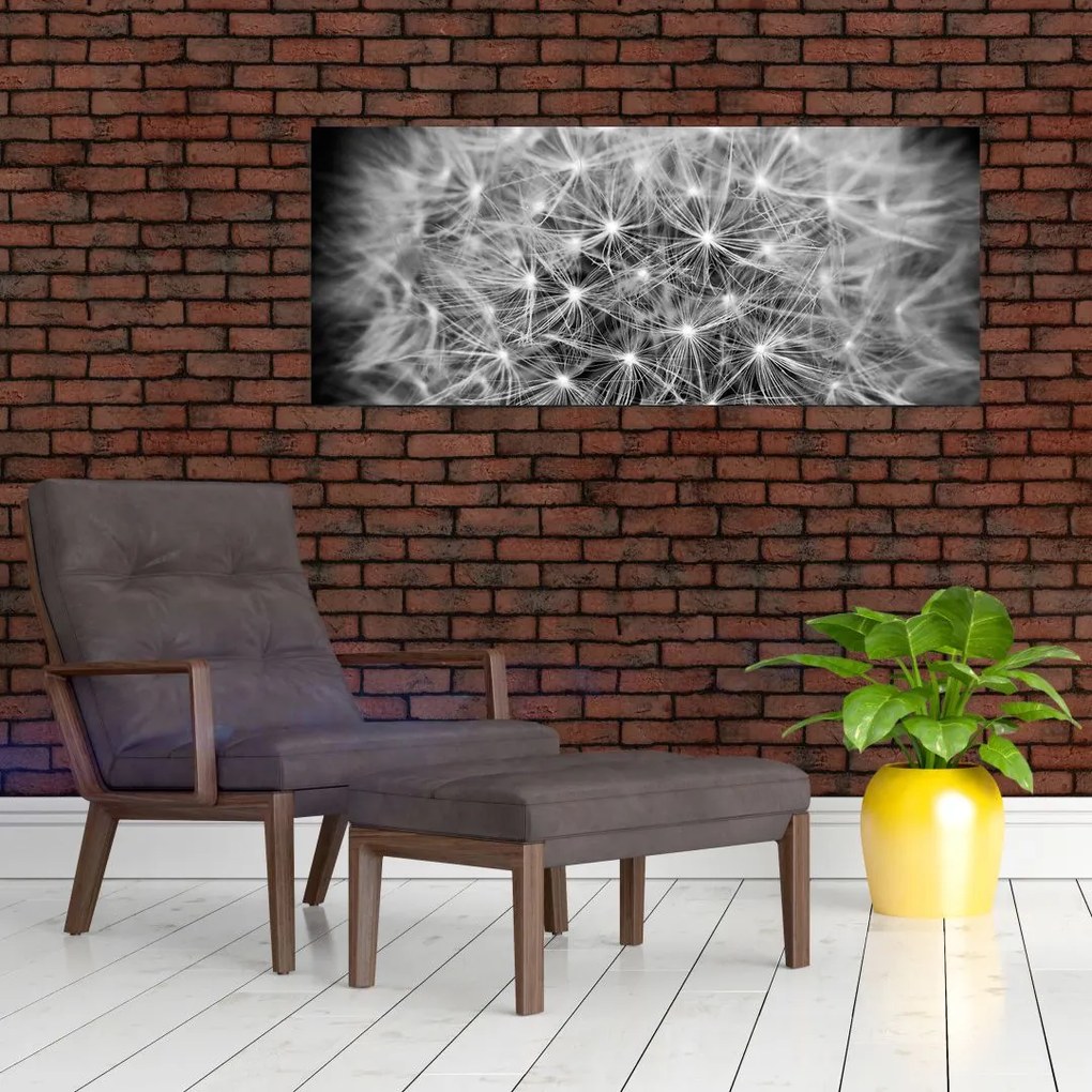 Tablou păpădie gri (120x50 cm)