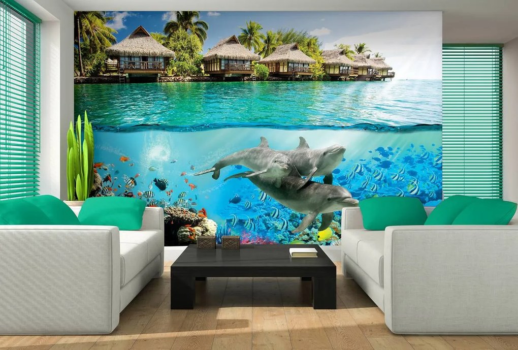 Fototapet - Delfini la Hawai (254x184 cm)