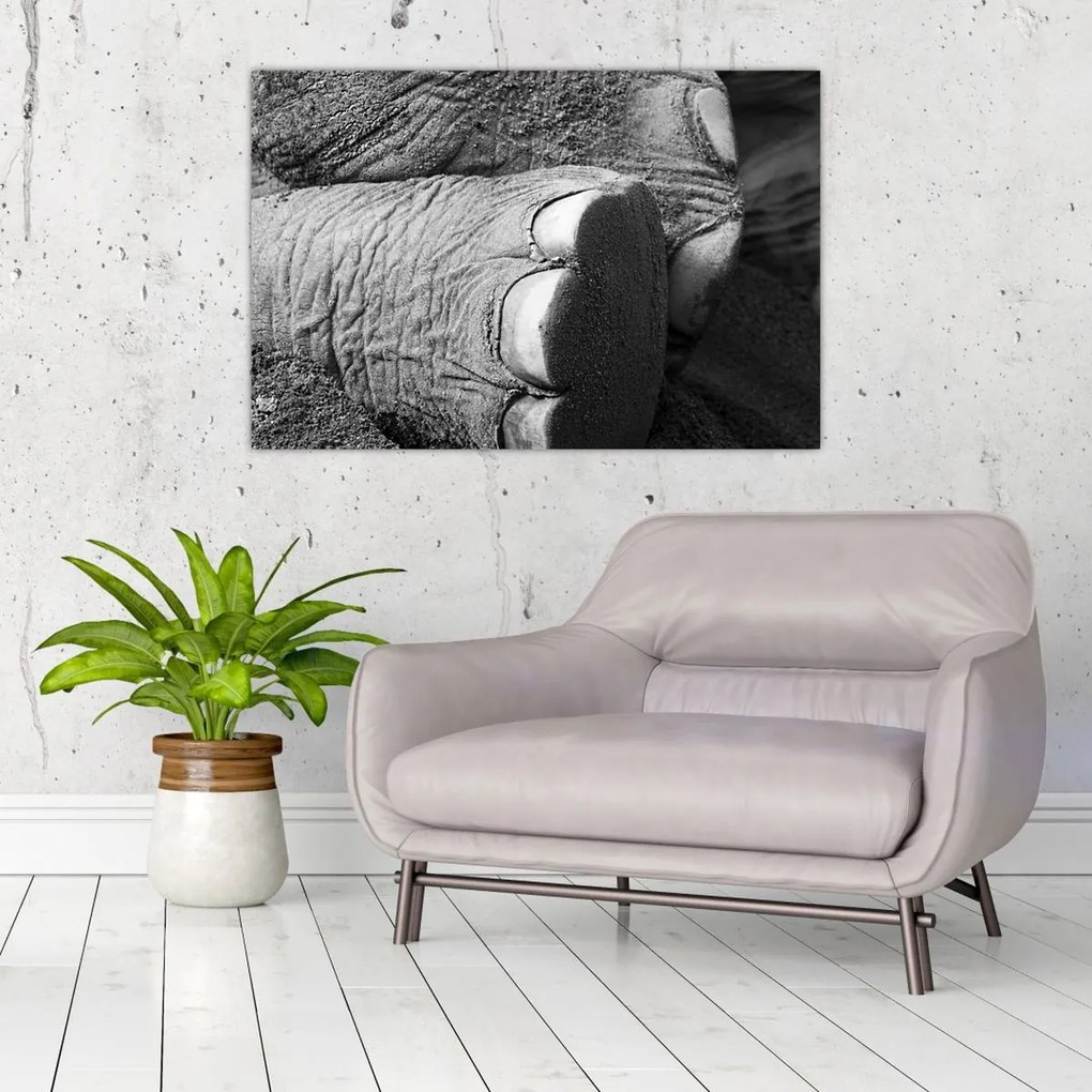 Tablou - Picior de elefant (90x60 cm)