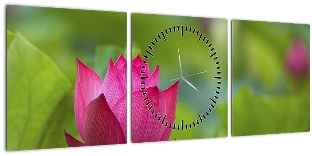 Tablou - floare de apă (cu ceas) (90x30 cm)