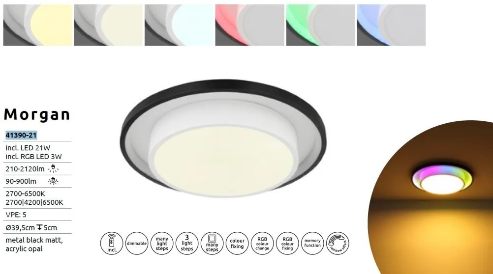 Plafoniera LED RGB cu telecomanda design industrial Morgan 39,5cm