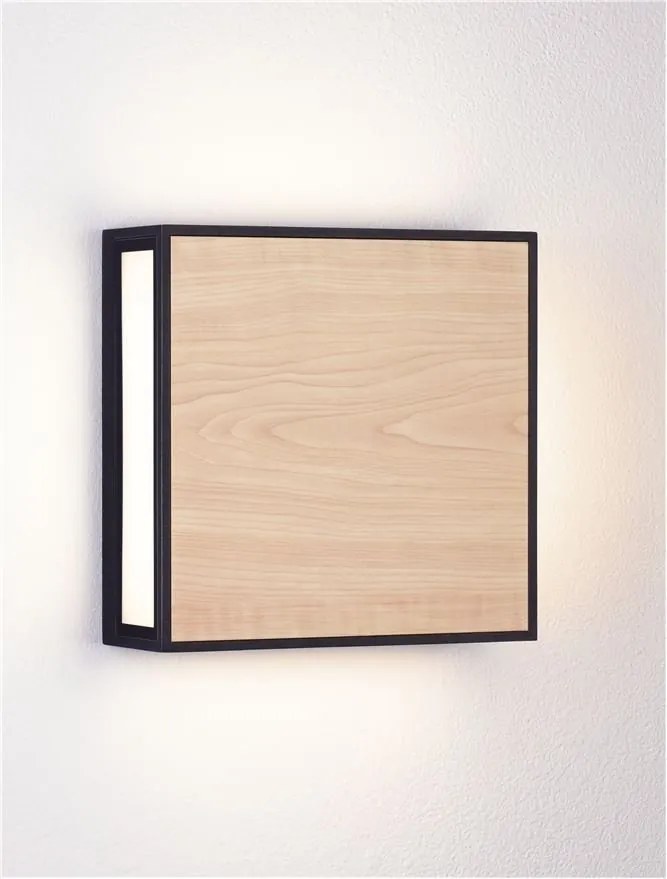 Aplica de perete LED iluminat exterior decorativ IP65 ASTRAL