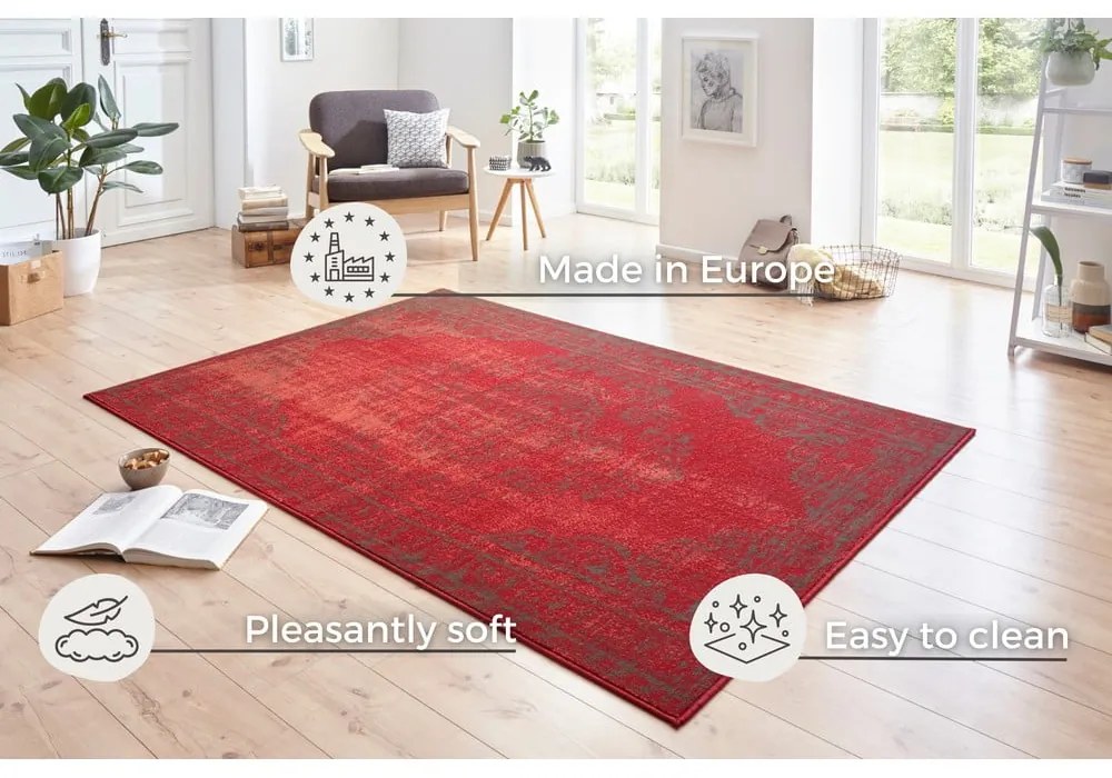 Covor Hanse Home Celebration Plume, 120x170 cm, roșu