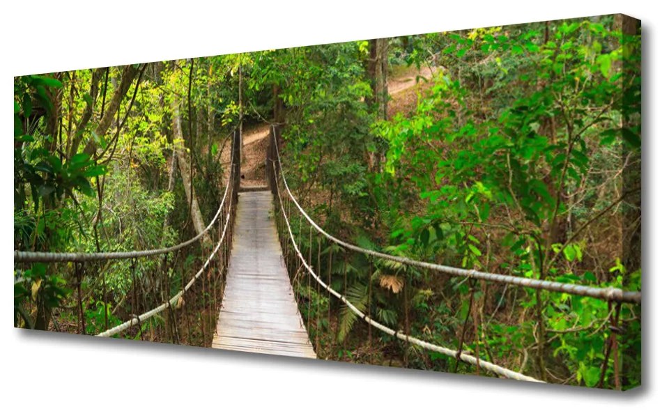 Tablou pe panza canvas Podul Natural Pădurea Verde Maro