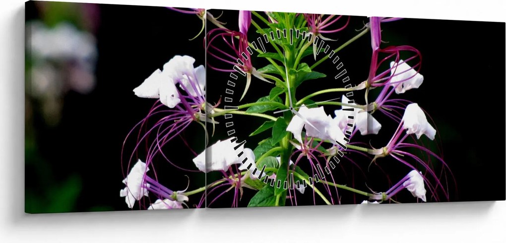 Tablou cu floare (cu ceas) (90x30 cm)